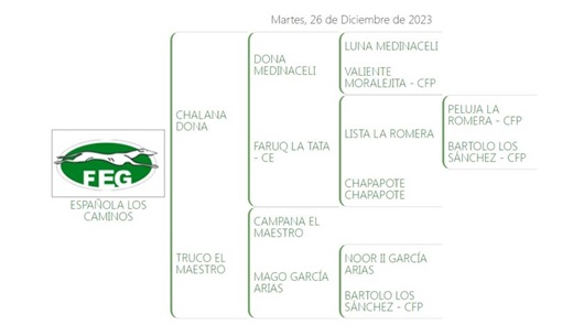 ESPAÑOLA DE LOS CAMINOS