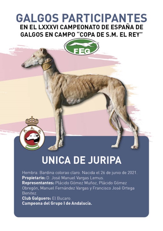 UNICA DE JURIPA