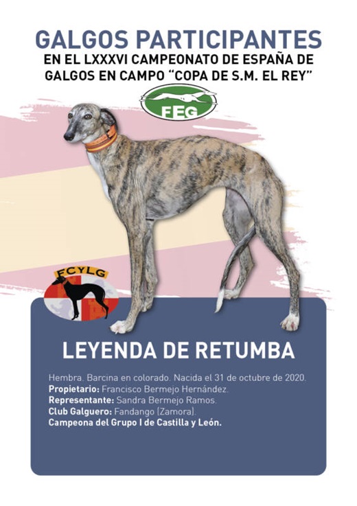 LEYENDA DE RETUMBA