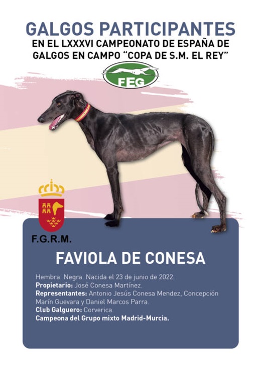 FAVIOLA DE CONESA