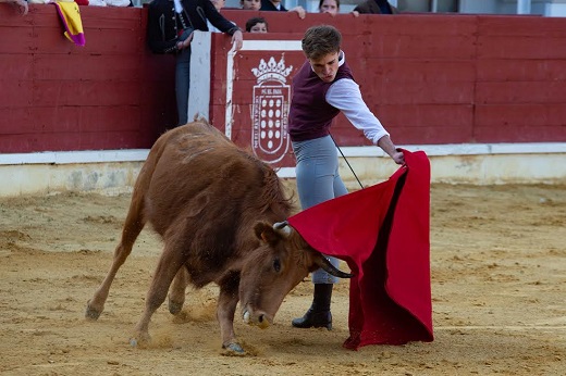 Medina del Campo abre un pequeño museo taurino en su plaza de toros.