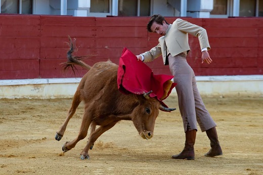 Medina del Campo abre un pequeño museo taurino en su plaza de toros.