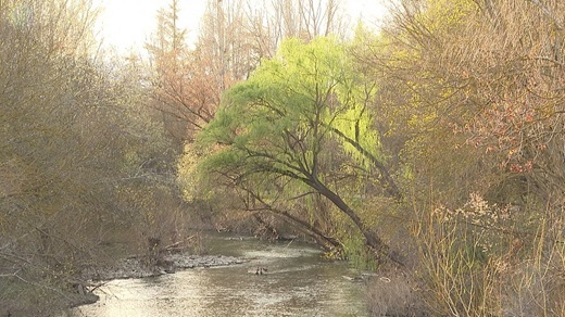 El río Arlanzón es como un río de montaña en medio de la ciudad REPOR
