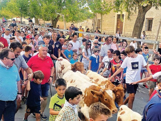 Chiquicabestros en Medina del Campo el pasado 2022 // De la Fuente