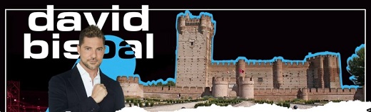  Cartel anunciador del concierto de David Bisbal en el Castillo de la Mota