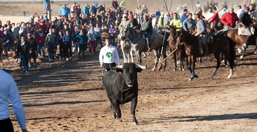 EncierroSanAntolin2019