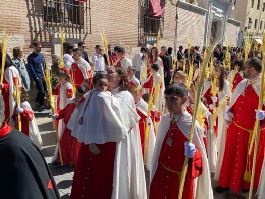 Domingo de Ramos en Medina del Campo