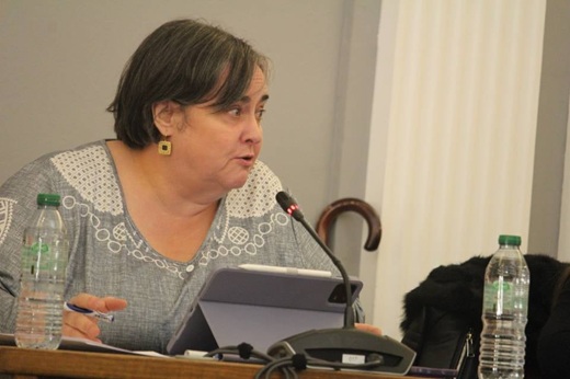 Mar&iacute;a Jes&uacute;s V&aacute;zquez en el pleno extraordinario // Paula de la Fuente