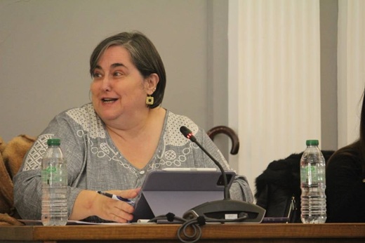 Mar&iacute;a Jes&uacute;s V&aacute;zquez en el pleno extraordinario // Paula de la Fuente