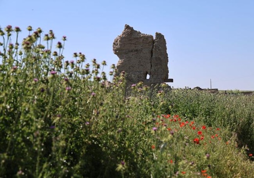 Restos de una vivienda en la localidad fantasma de Honquilana. Rodrigo Ucero 