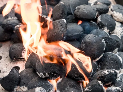 Unos trozos de carb&oacute;n quem&aacute;ndose generan suficiente energ&iacute;a t&eacute;rmica para asar vegetales y carnes.
