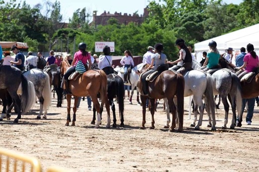 Caballos participantes en al Feria