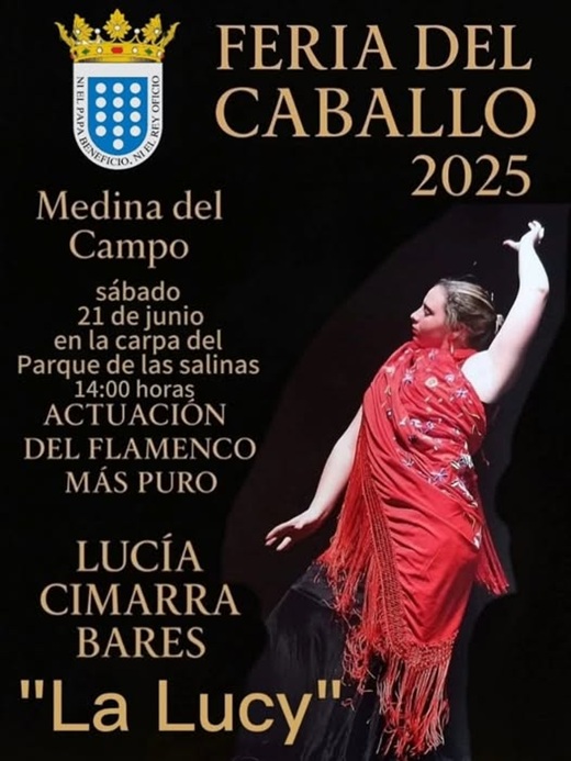 Cartel Baile y Arte Flamenco "La Lucy", 