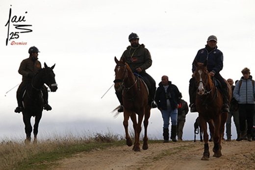 Cita colleras semifinales 13 y 14 de diciembre 2025