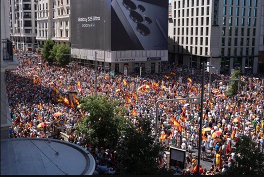 Representantes medinenses participaron en la protesta convocada por el PP Representantes medinenses participaron en la protesta convocada por el PP