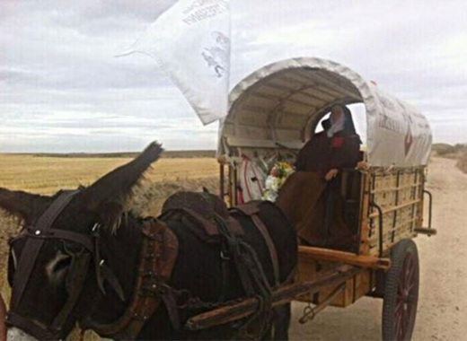 Santa Teresa es trasladada en carreta tirada por una mula, evocando su último viaje en 1582 // Fuente: Turismo Alba de Tormes