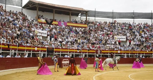 Las cuadrillas ensayan los pases tras el paseíllo antes de empezar la lidia. - Foto: Fermín Rodríguez
