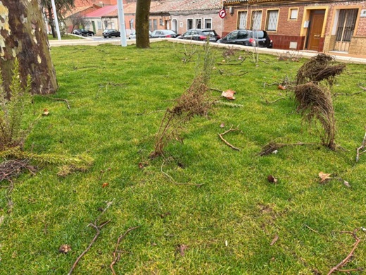 Plaza del Pilar en las im&aacute;genes proporcionadas por el PSOE