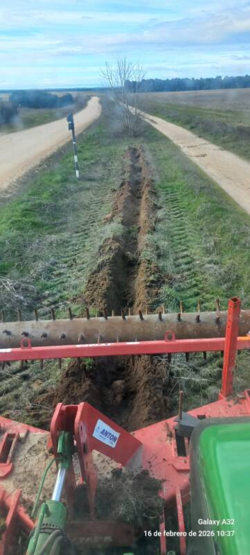 Plantaci&oacute;n &aacute;rboles en Medina del Campo